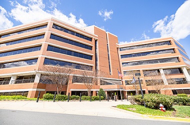 Flex Office